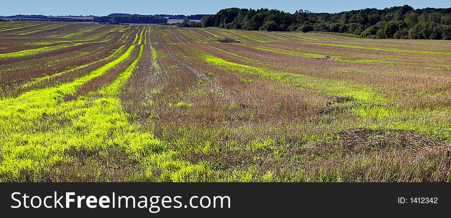 Farmland panorama (after harvest in Denmark). Farmland panorama (after harvest in Denmark)