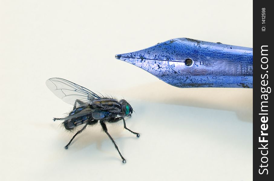 Macro photo of fly and old pen