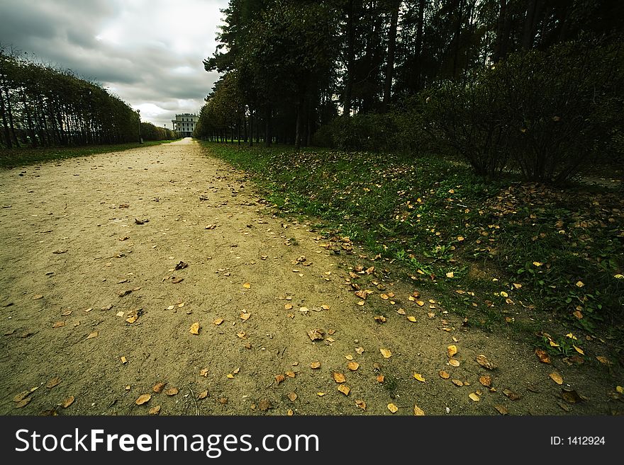 Avenue In Bad Autumn Weather