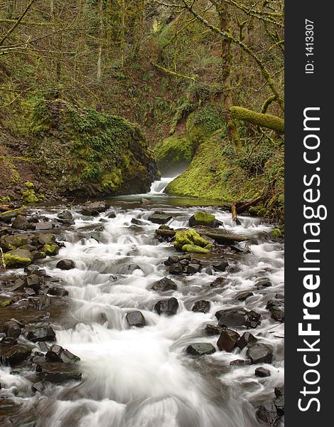 Bridal Veil Creek in teh Columbia River Gorge National Scenic Area