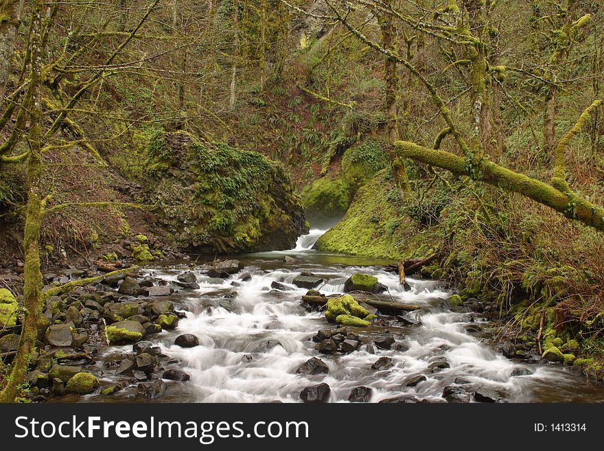 Bridal Veil Creek in teh Columbia River Gorge National Scenic Area