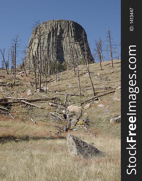 Devils Tower through the burned trees on the Red Beds Trail