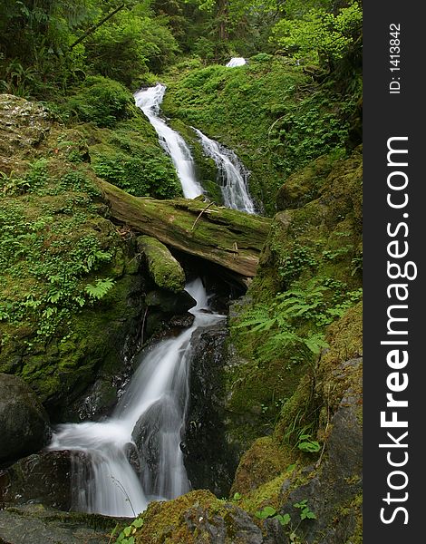 Unnamed waterfall in the Quinault area of Olympic National Park. Unnamed waterfall in the Quinault area of Olympic National Park