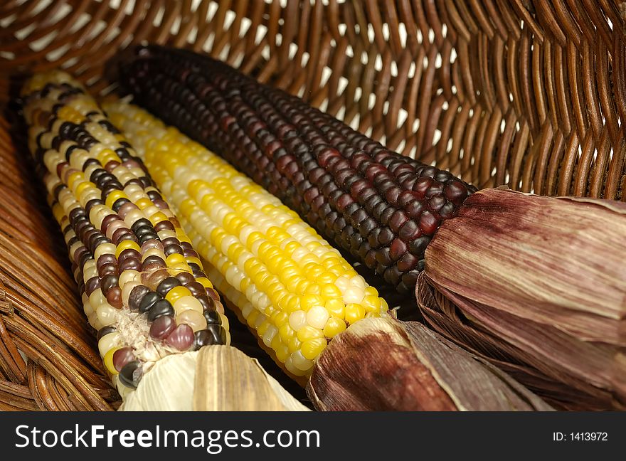 Photo of Corn on the Cobb in a Basket - Thanksgiving Concept