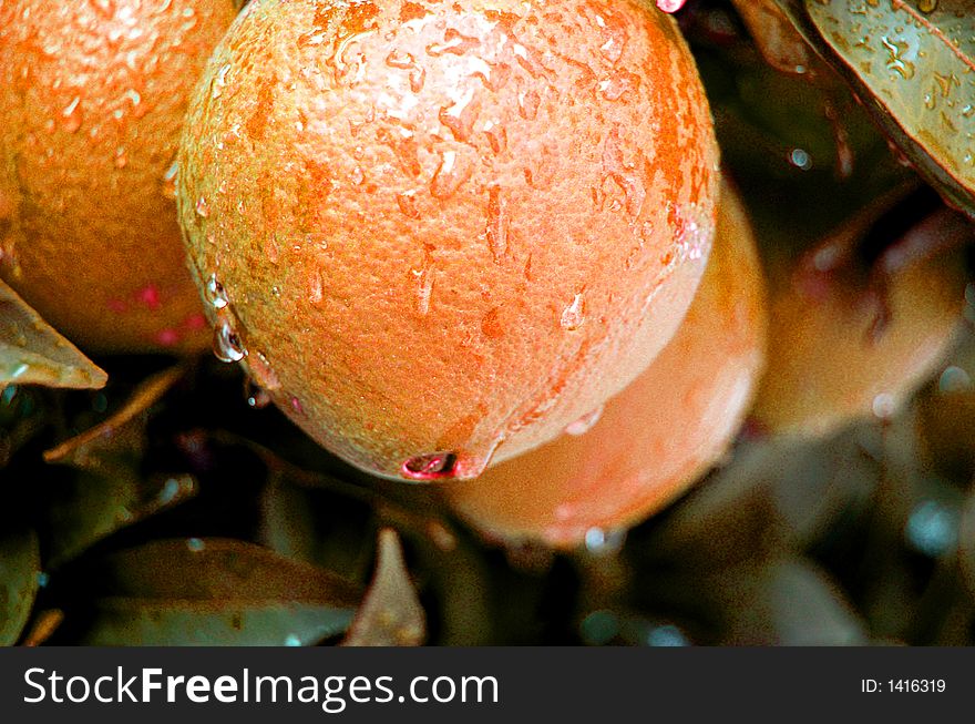 Orange color with water drops