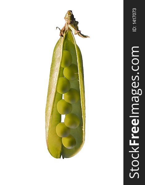 Open green peapod showing peas. Open green peapod showing peas.