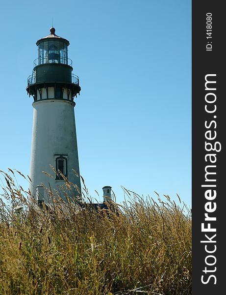 White lighthouse with brown grass in foreground bending in the breeze. White lighthouse with brown grass in foreground bending in the breeze