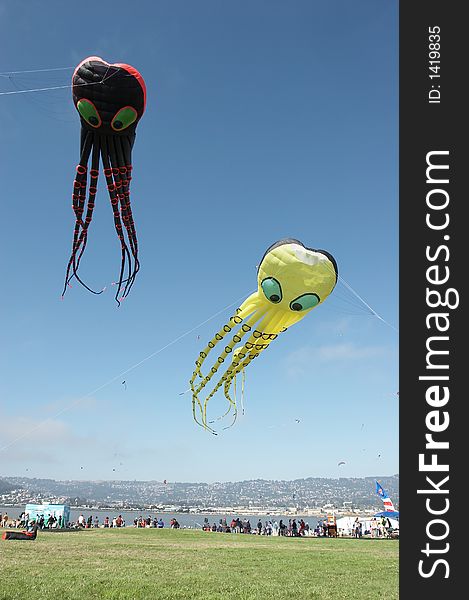 Kites in the sky. Berkeley Kite Festival