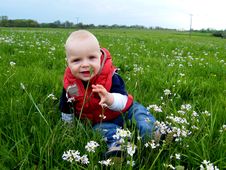 Baby Siting At Spring Meadow Royalty Free Stock Image Baby Siting At Spring Meadow Royalty Free Stock Image