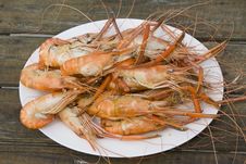 Boiled Shrimp Royalty Free Stock Photography