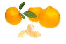 Mandarin Or Tangerine Royalty Free Stock Photography Mandarin Or Tangerine Royalty Free Stock Photography