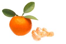 Mandarin Or Tangerine Stock Photography Mandarin Or Tangerine Stock Photography
