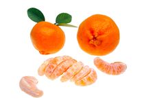 Mandarin Or Tangerine Stock Image Mandarin Or Tangerine Stock Image