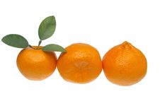 Mandarin Or Tangerine Royalty Free Stock Photography Mandarin Or Tangerine Royalty Free Stock Photography