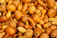 Gourds Royalty Free Stock Photos Gourds Royalty Free Stock Photos