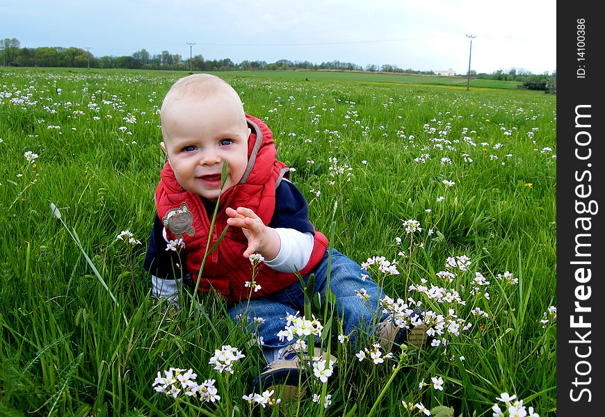 Baby Siting At Spring Meadow