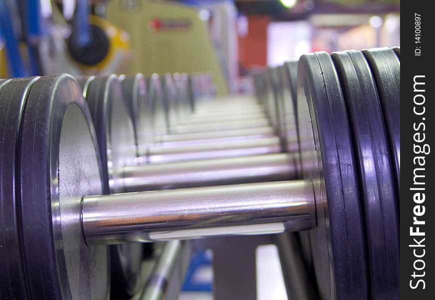Weights arranged by size on metal holder in gym