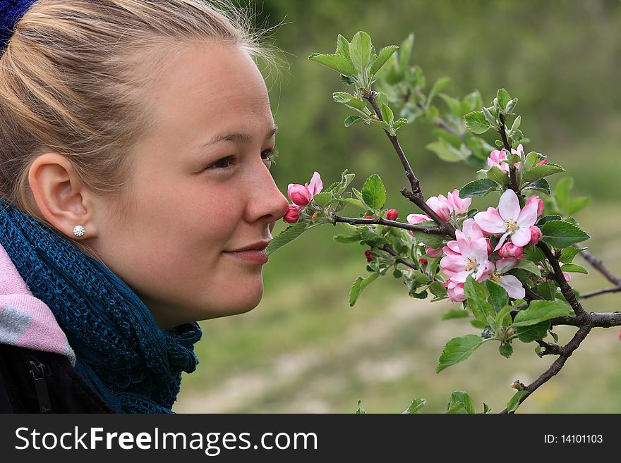 A beautiful blond girl smell the apple tree flowers