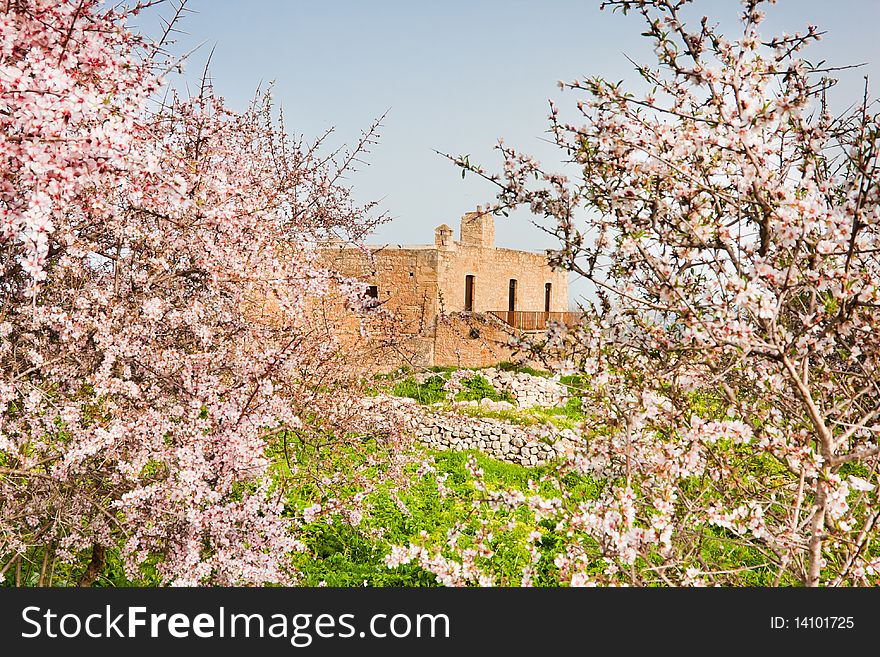 Monastery of St. John Theologian at Ancient Aptera in Crete, Greece