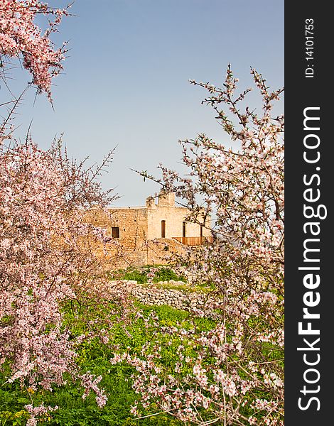 Monastery of St. John Theologian at Ancient Aptera in Crete, Greece