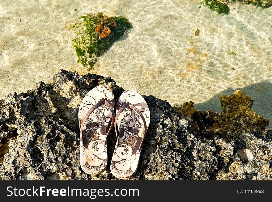 Shoes And Coral Reef