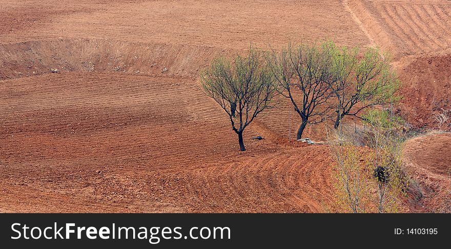 The fields located in the foothills began to plowing in spring. The fields located in the foothills began to plowing in spring.