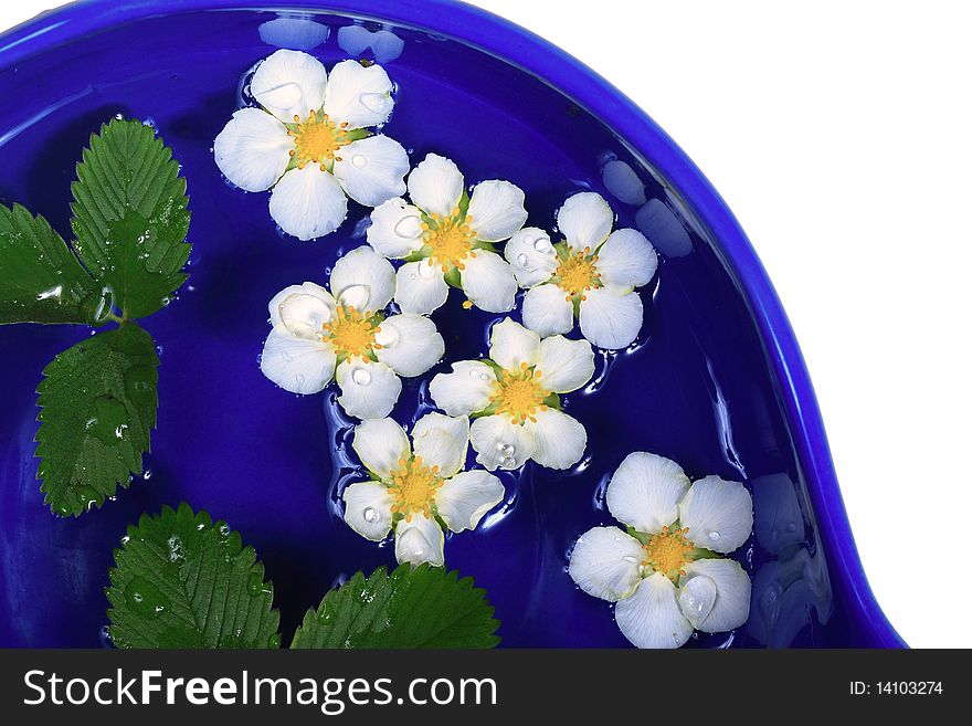 Daisies In A Bowl