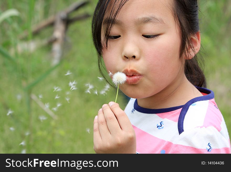 Spring, China's countryside, a little girl blowing dandelion China.