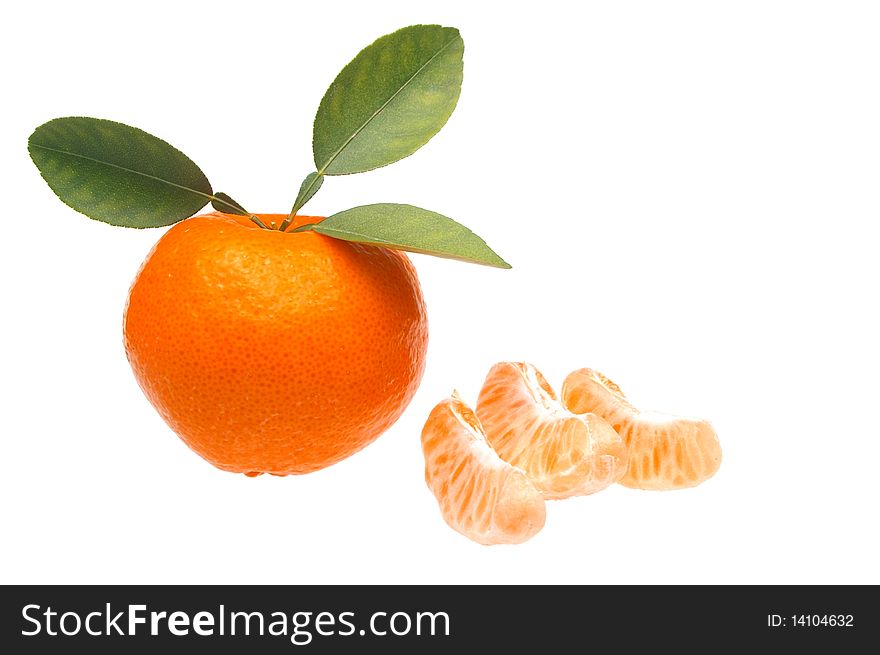 Mandarin or tangerine