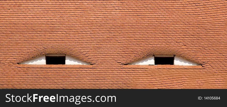Two windows on a roof, that look like eyes