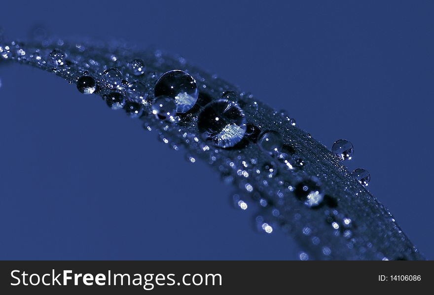 Water Drops