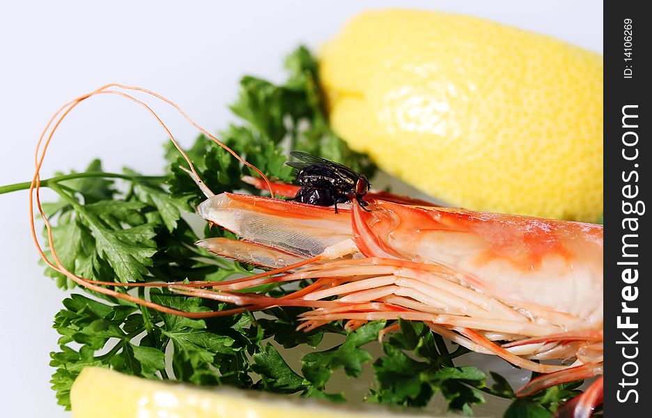 A King prawn on a bead of parsley and lemon, with a fly busily feasting off the cooked prawns head. A King prawn on a bead of parsley and lemon, with a fly busily feasting off the cooked prawns head.