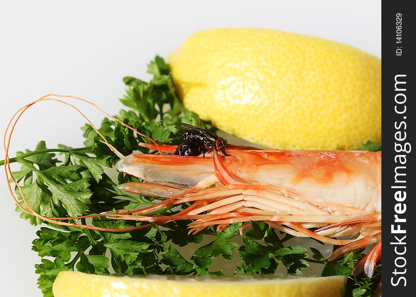 A King prawn on a bead of parsley and lemon, with a fly busily feasting off the cooked prawns head. A King prawn on a bead of parsley and lemon, with a fly busily feasting off the cooked prawns head.