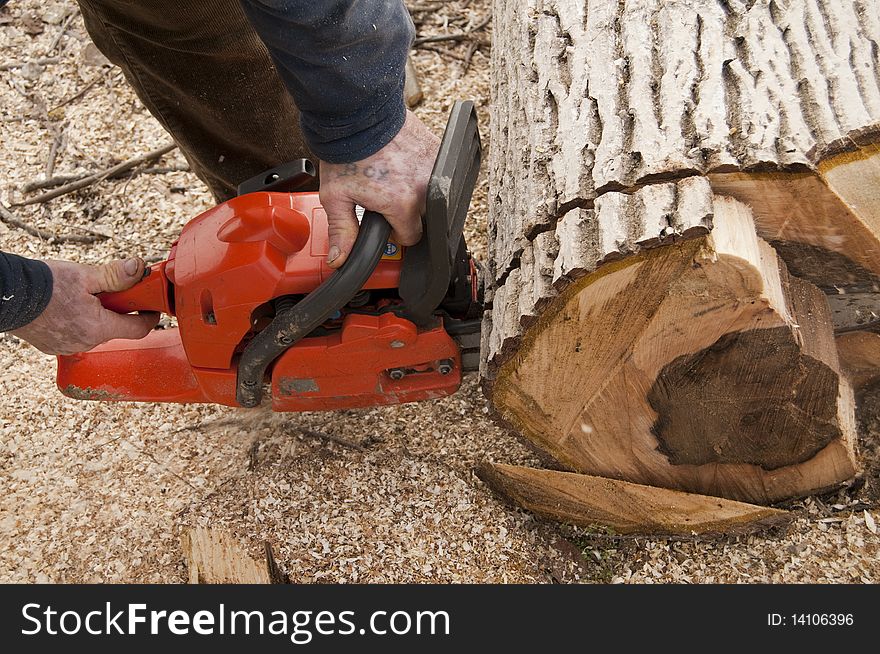 Lumberjack Cuting A Log