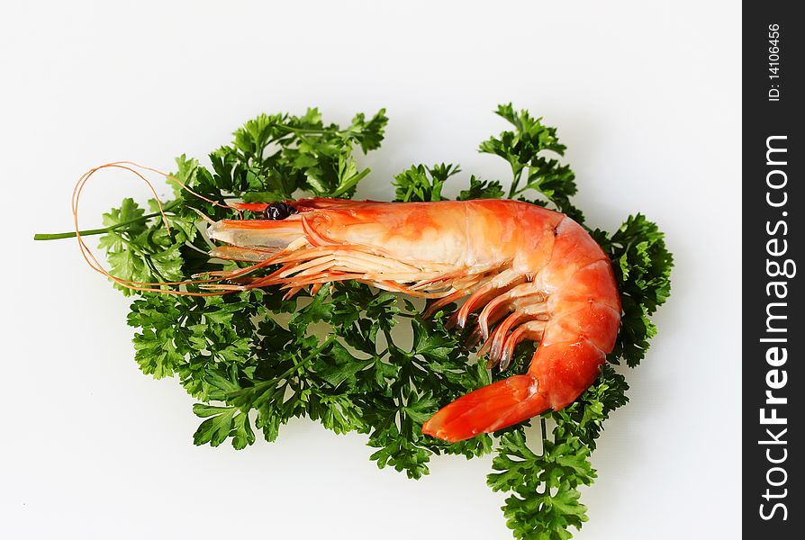 A king prawn laid on a bed of parsley in the shape of a map of Australia. A king prawn laid on a bed of parsley in the shape of a map of Australia.