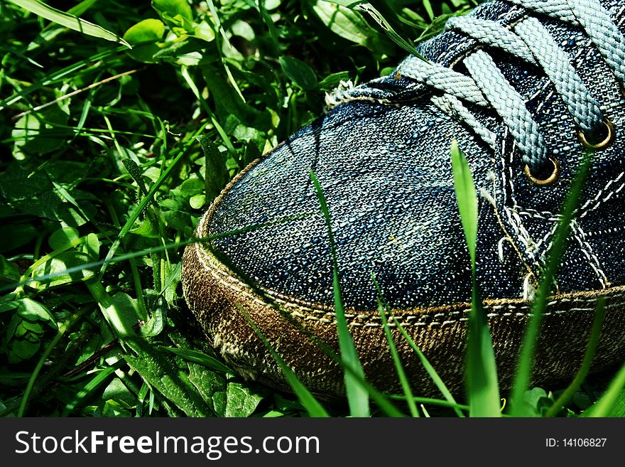 A shoe on the green grass. A shoe on the green grass