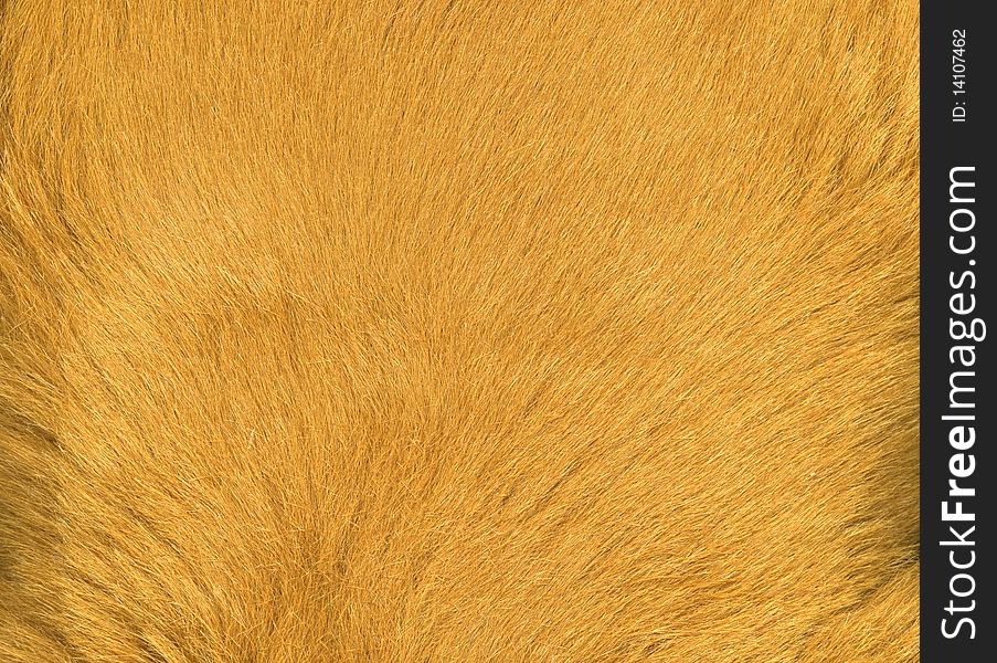 Artifical toy fur scanned with high resolution