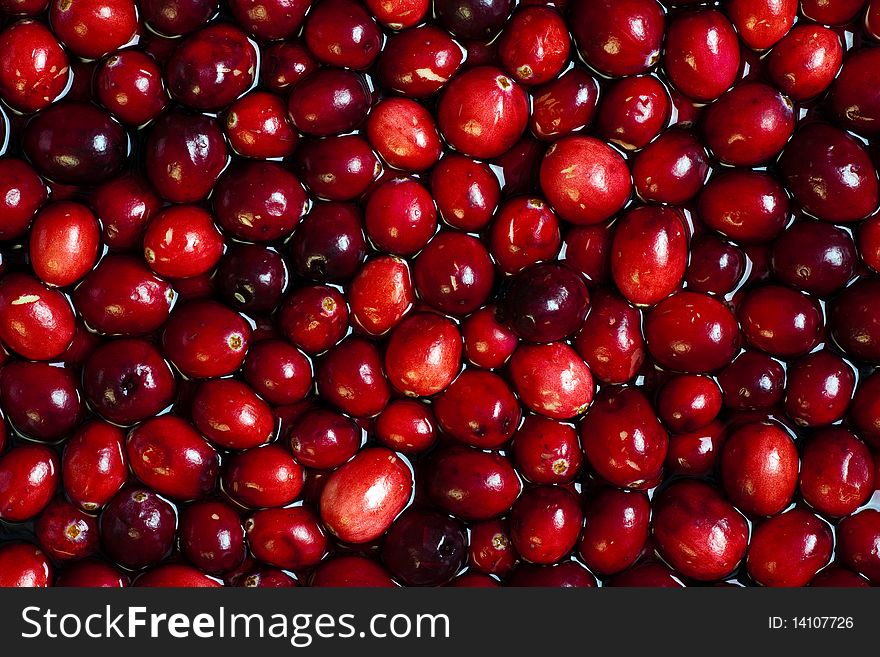 Macro image of Floating Cranberries in water.