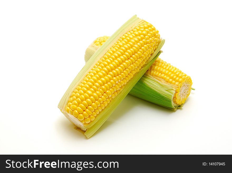 Two fresh corn cobs isolated on white background. Two fresh corn cobs isolated on white background