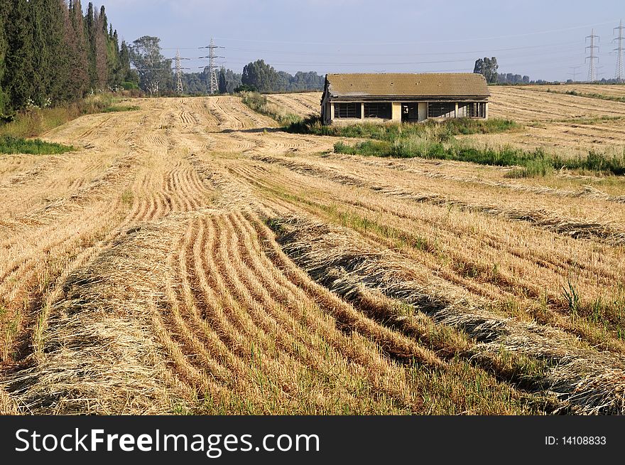 Derelict house in field after harvest  wheats