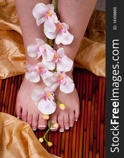 White orchid with pedicured feet