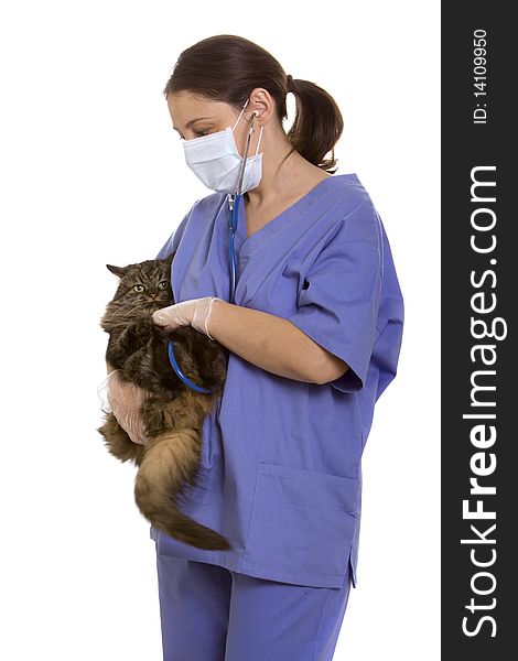 Veterinarian And Cat