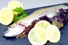 Rainbow Trout Stock Images Rainbow Trout Stock Images