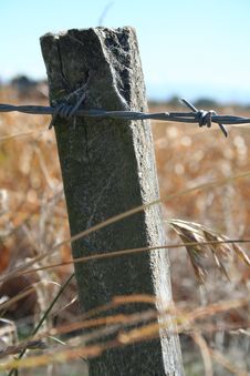 Barbed Wire Fence Royalty Free Stock Image Barbed Wire Fence Royalty Free Stock Image