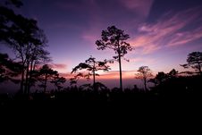Sunrise At Pha Nok Aen Stock Image Sunrise At Pha Nok Aen Stock Image