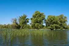 Water Landscape In Danube Delta Stock Images