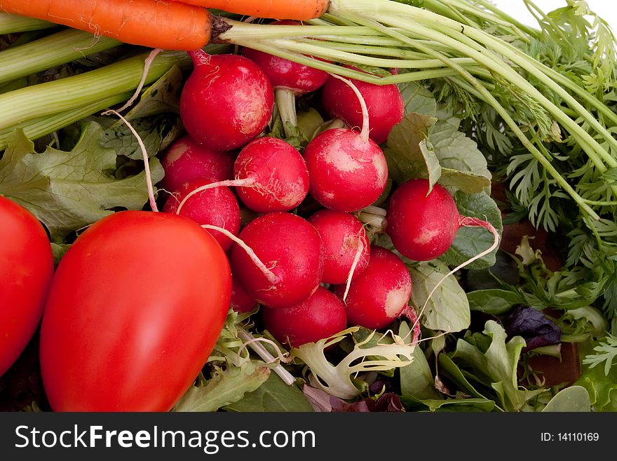 Fresh carrots, radishes, scallions, tomatoes and greens. Fresh carrots, radishes, scallions, tomatoes and greens