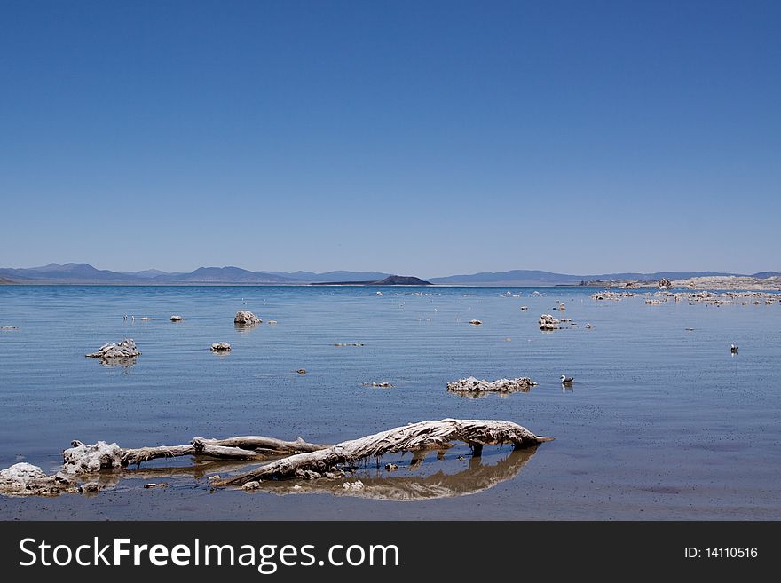 Unique Mono Lake in California USA