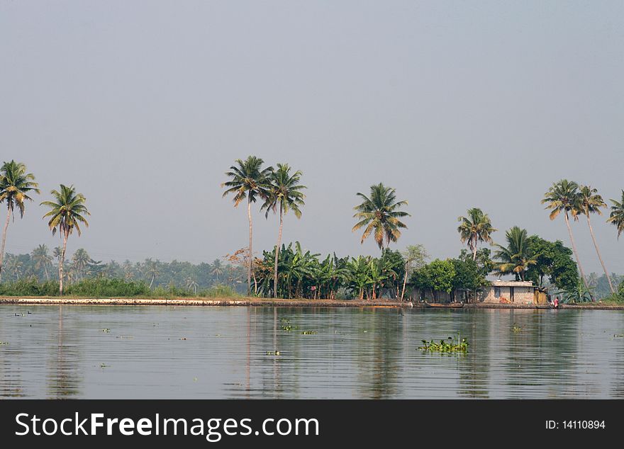 Backwaters of Alapuzha, Kerala, India