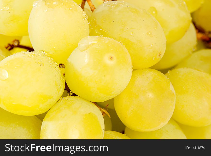 Closeup of grapes on white background